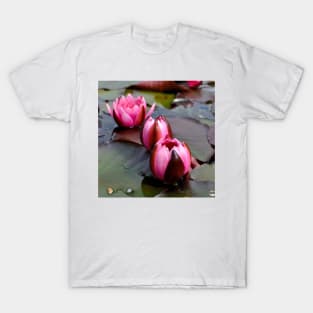 Water Lilies T-Shirt